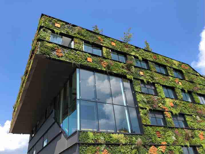 green-building