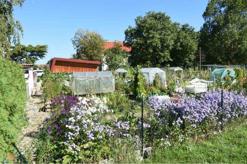 maribor-pocket-gardens