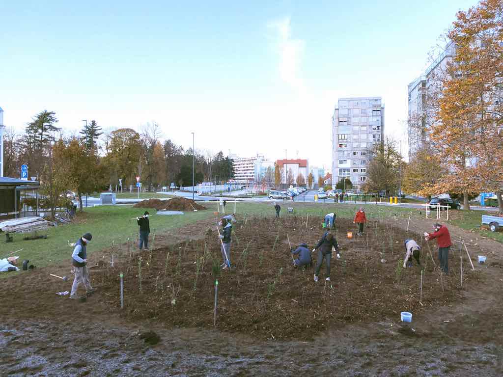 maribor-urban-mobile-forest