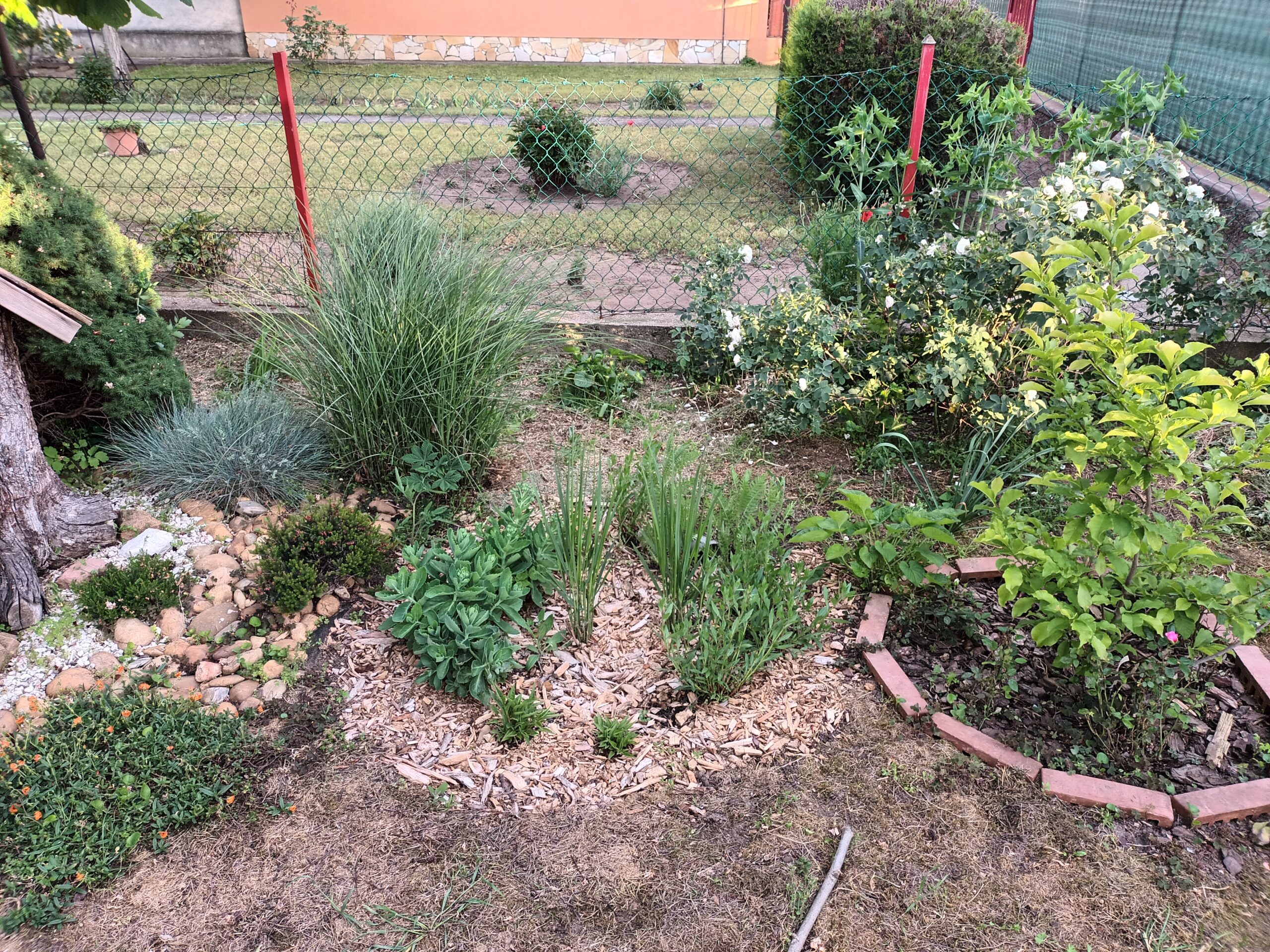 Success of the Private Raingardens Call in Budapest