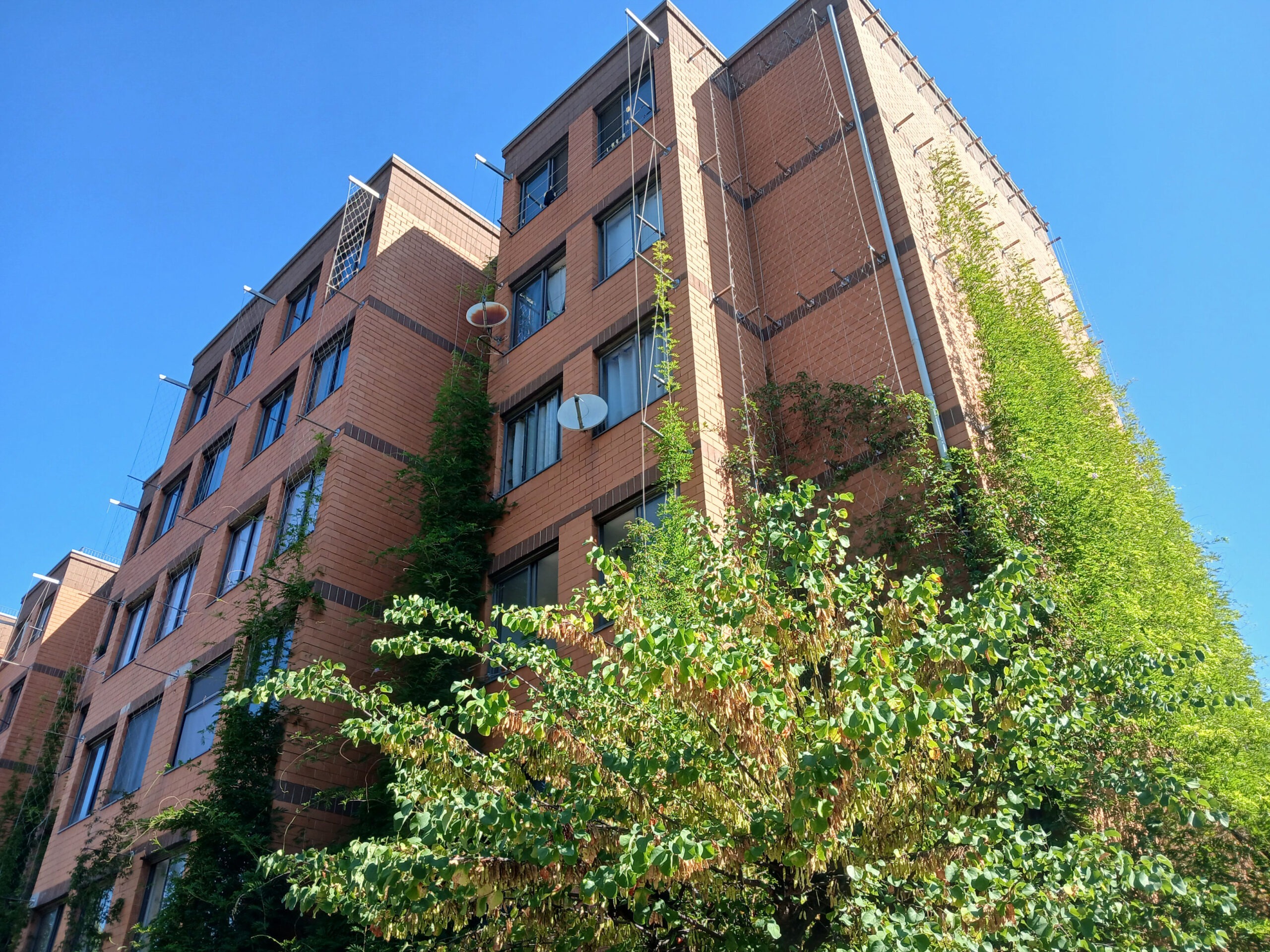 UPSURGE project visit in Prato, Italy